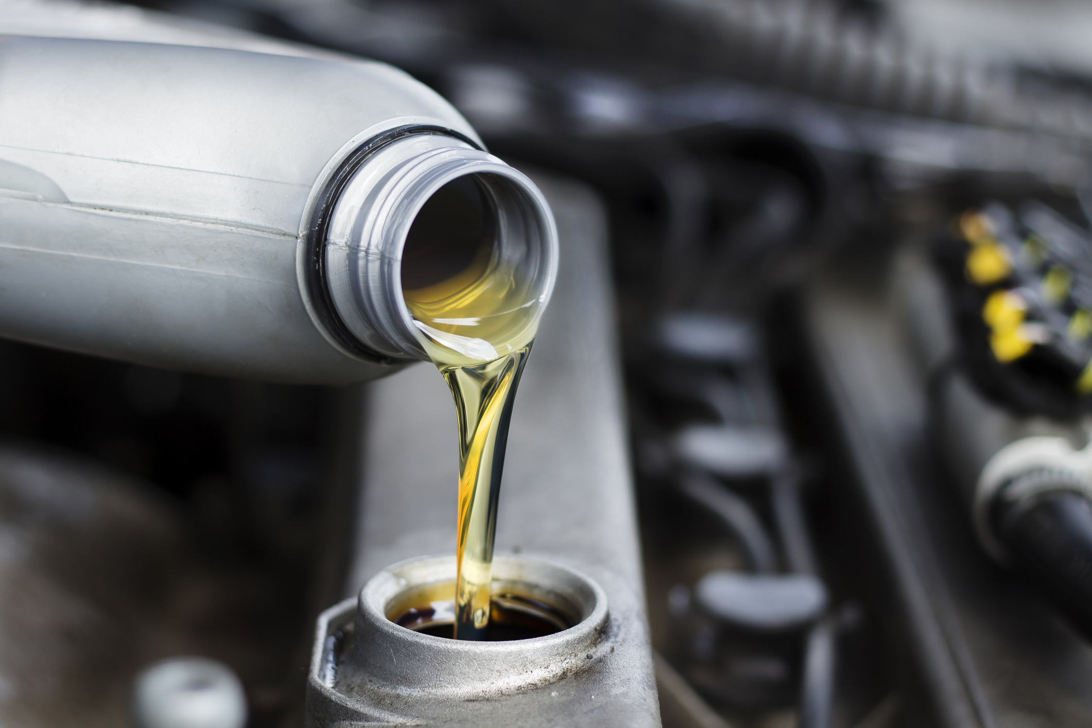 Oil change and maintenance service